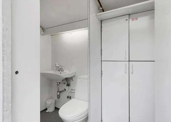 Dom wakacyjny Tv1613-albaek-naesehornvej-4 *